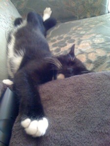 MurtyMadStretches
