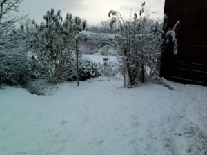 SnowyGarden