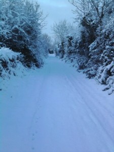 SnowyLane
